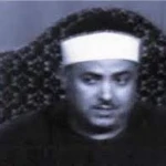 محمد محمود عوض