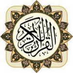 محمد معوض عبد العال